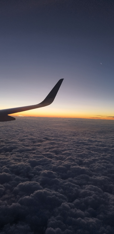 diseño sin título (14)